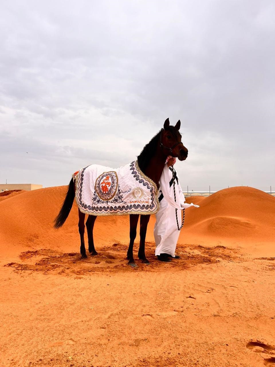 صناعة أوشحة الخيل من المصممة مها السبيعي