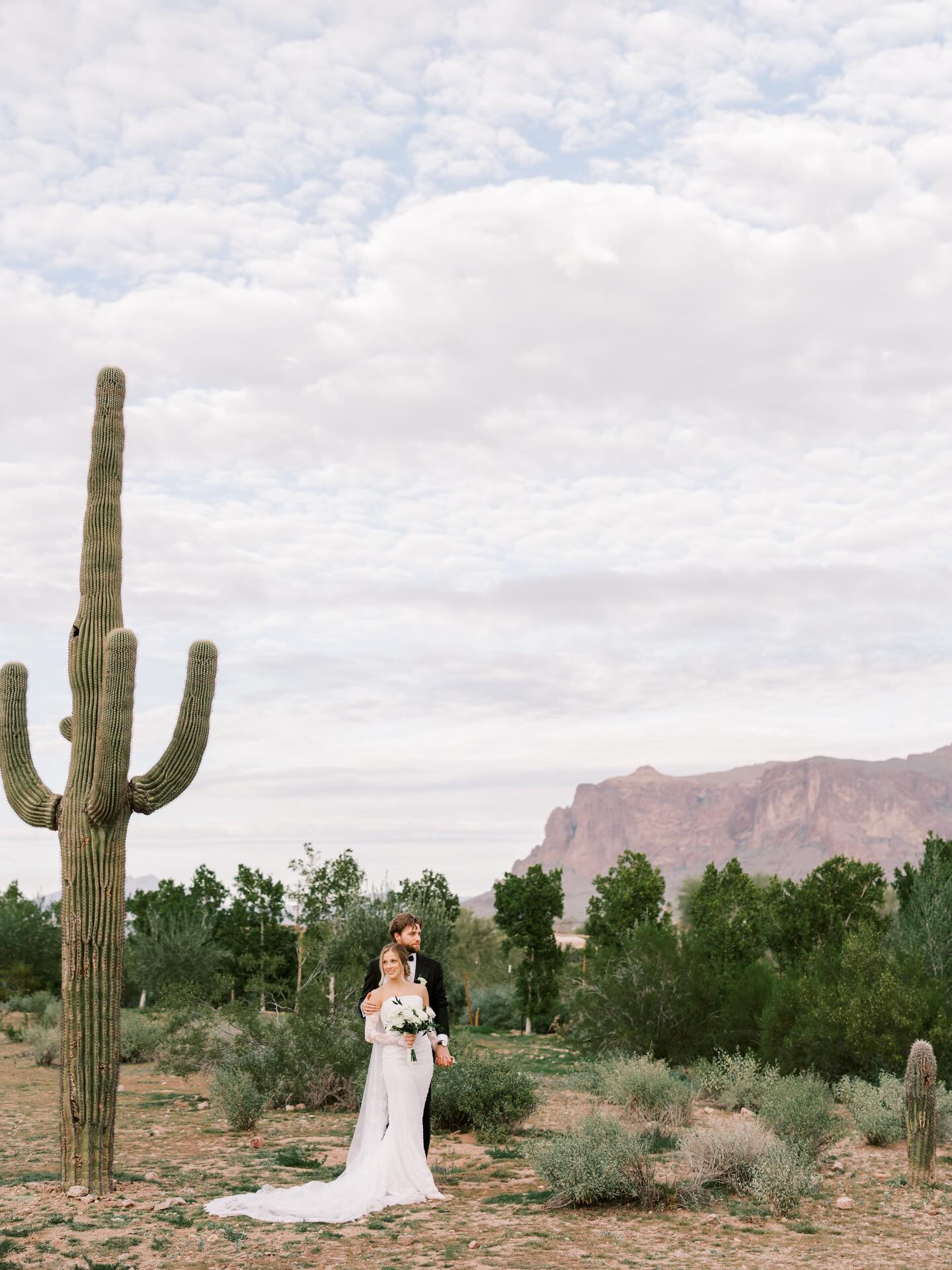 صور تذكارية مميزة للعروسين في الصحراء