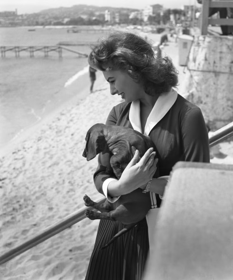 صوفيا لورين Sophia Loren