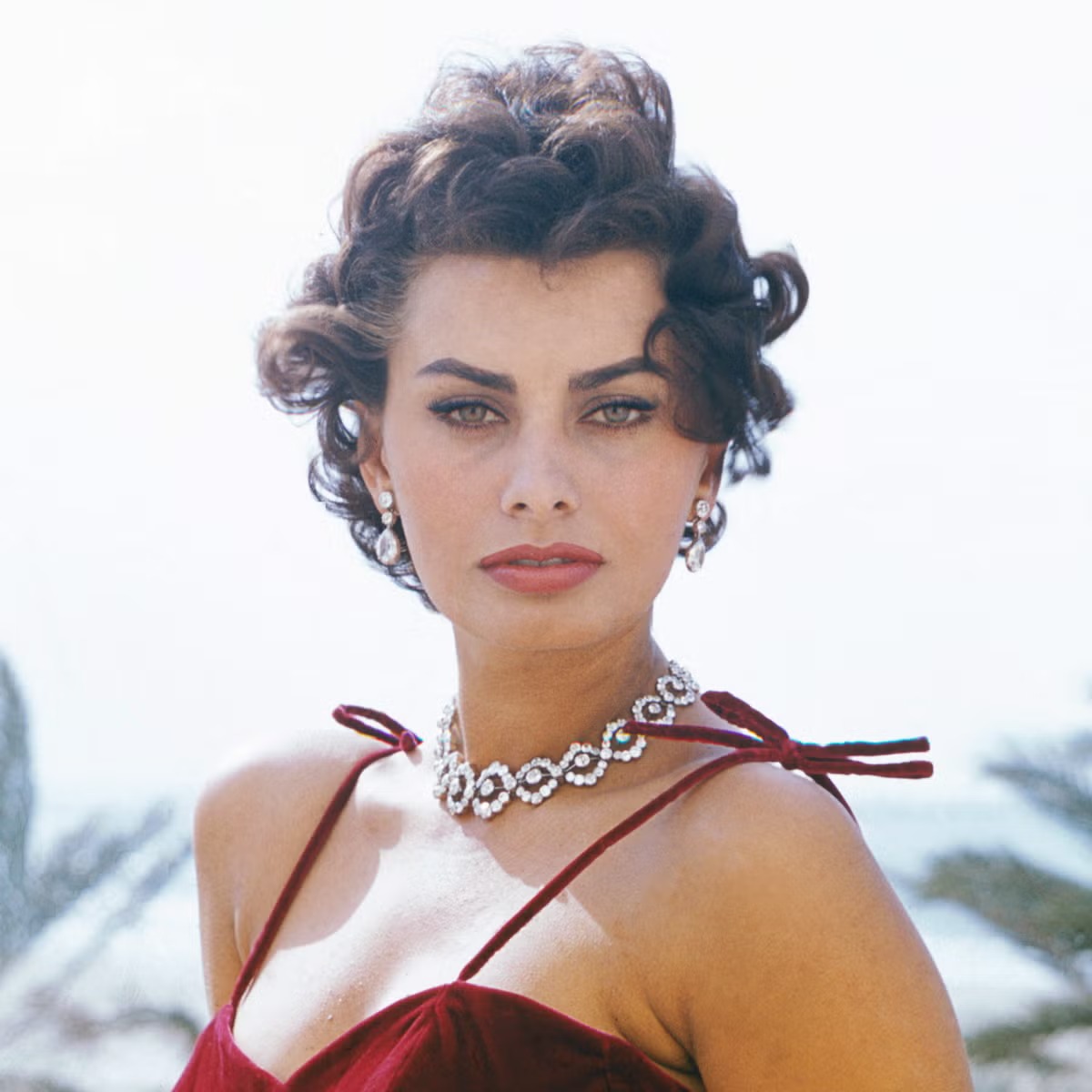 صوفيا لورين Sophia Loren