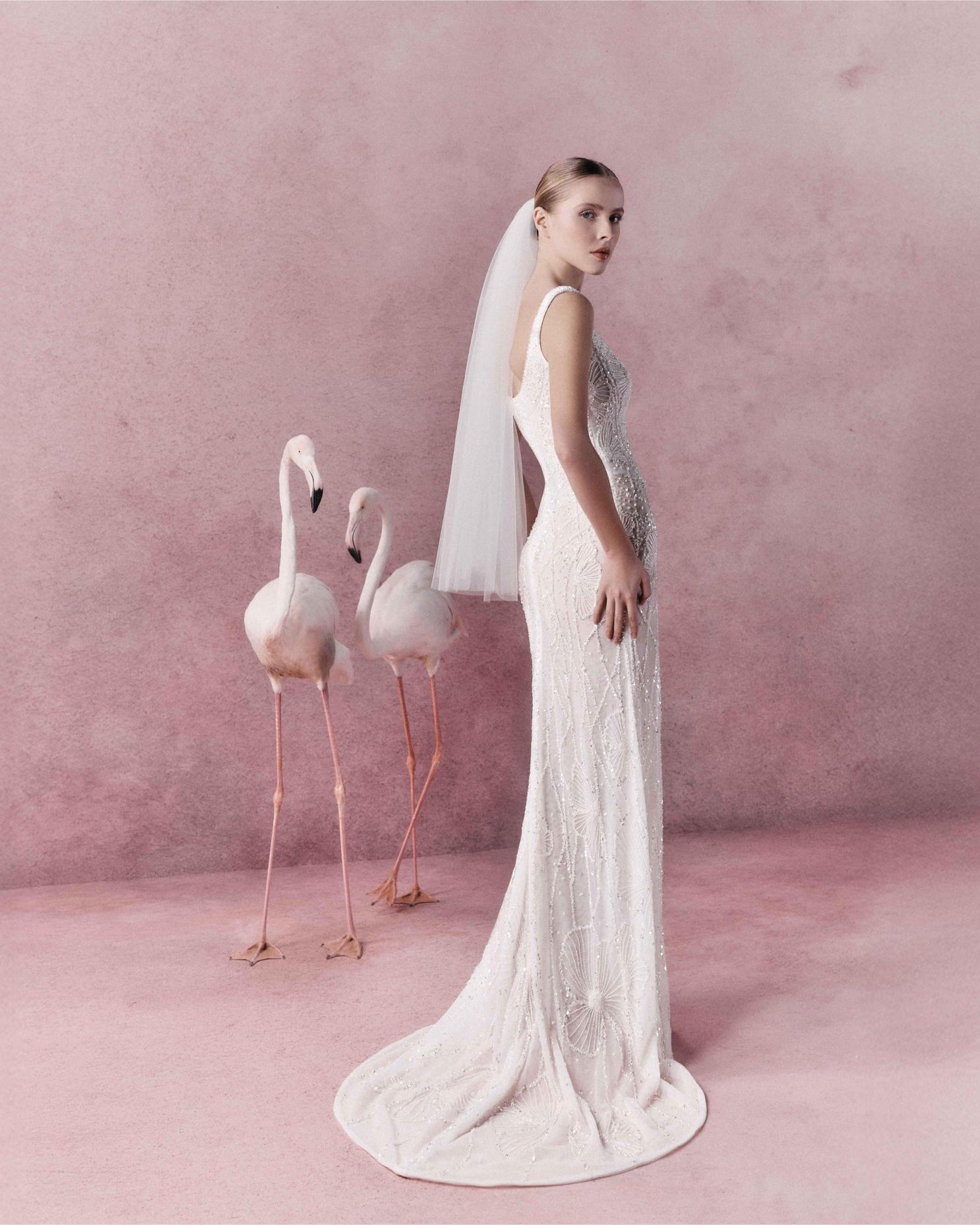 عروس بندي برق لعام 2026