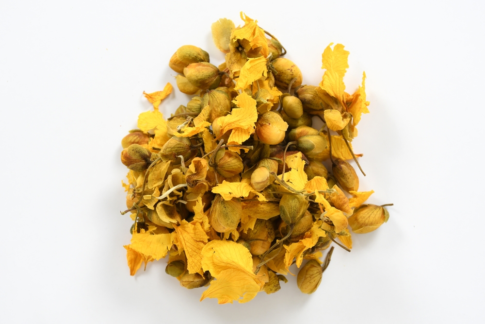 عشبة الحنا البيضاء او ما تعرف ب Cassia auriculata