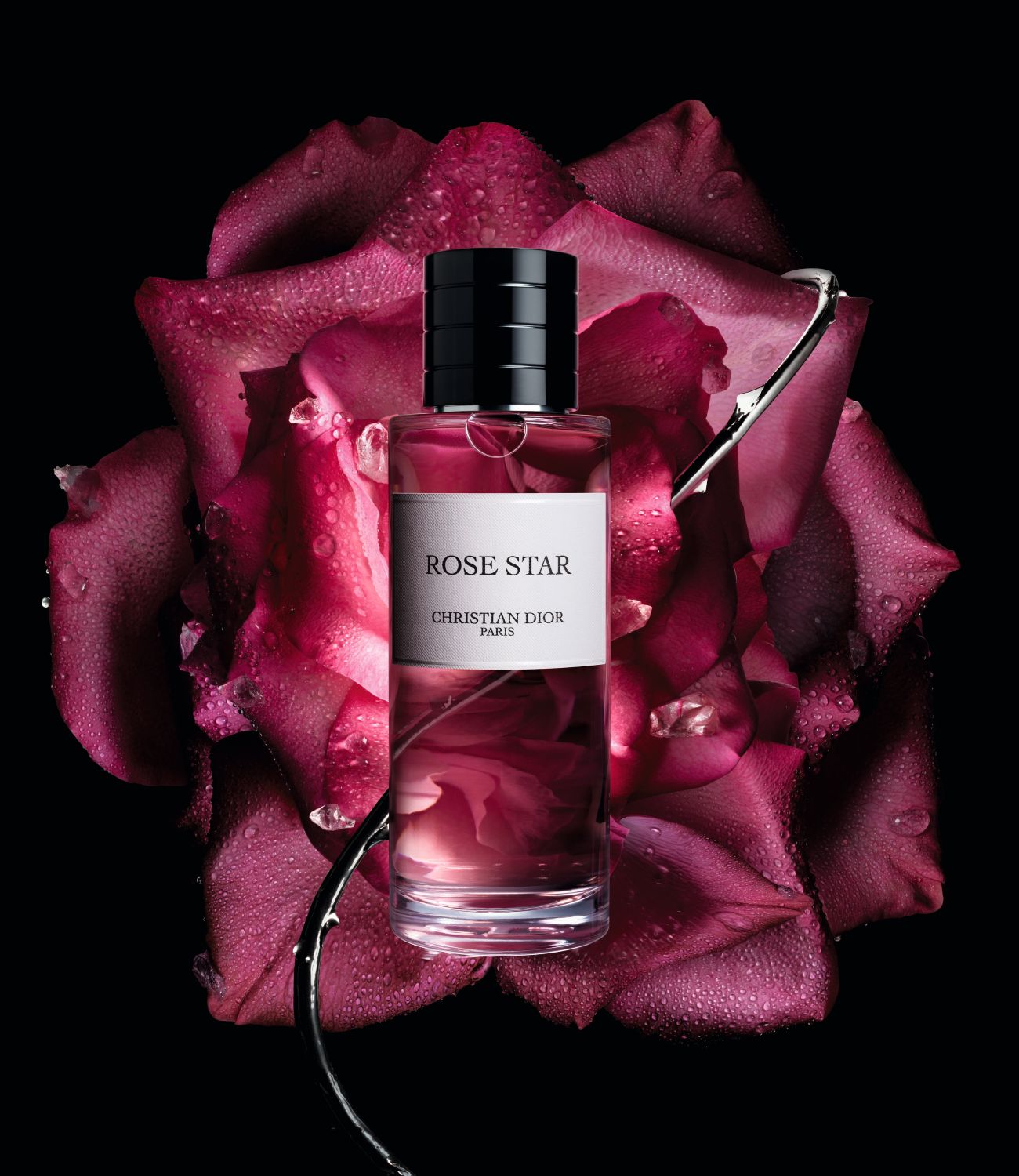 عطر  "روز ستار" من علامة كريستيان ديور