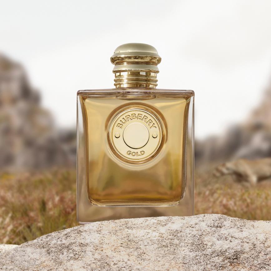 عطر بربري جولد المركز من دار دار بربري