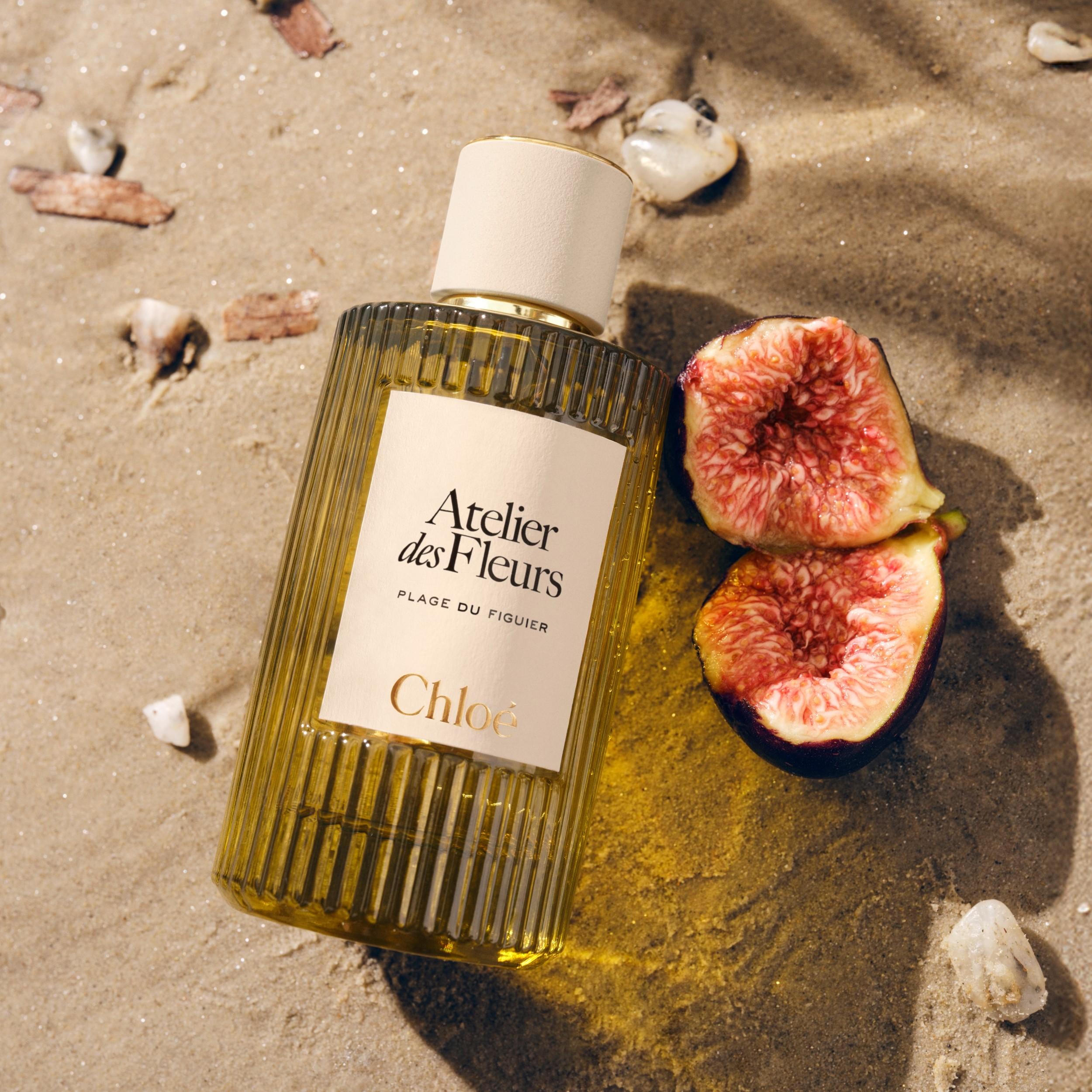 عطر Atelier des Fleurs Plage du Figuier بتوقيع العطّارة أليوكا من دار Chloé