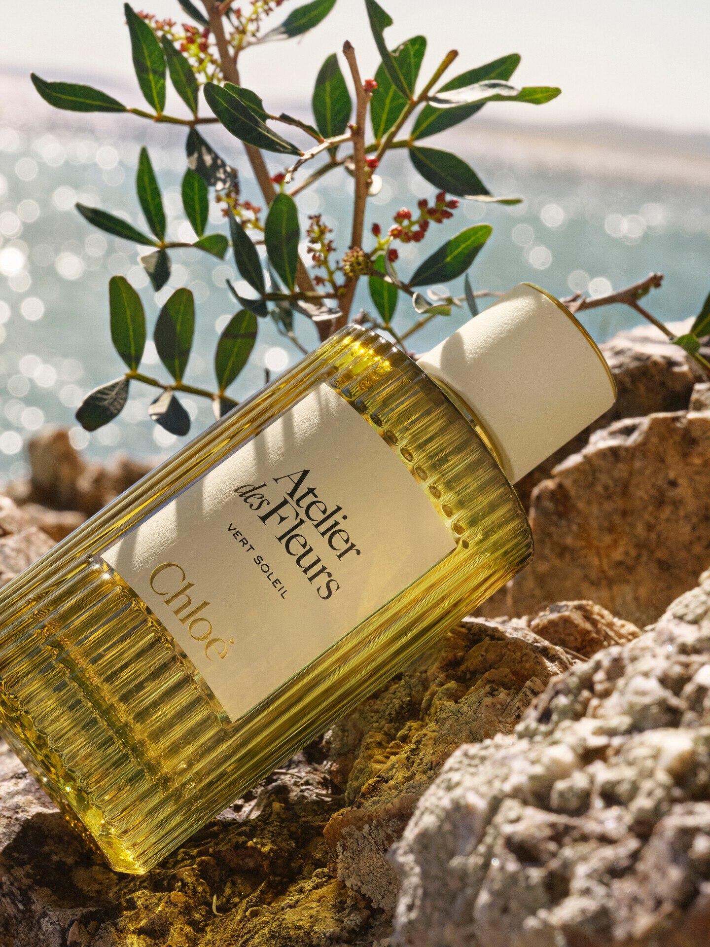 عطر Atelier des Fleurs Vert Soleil بتوقيع العطّار كوينتين بيش