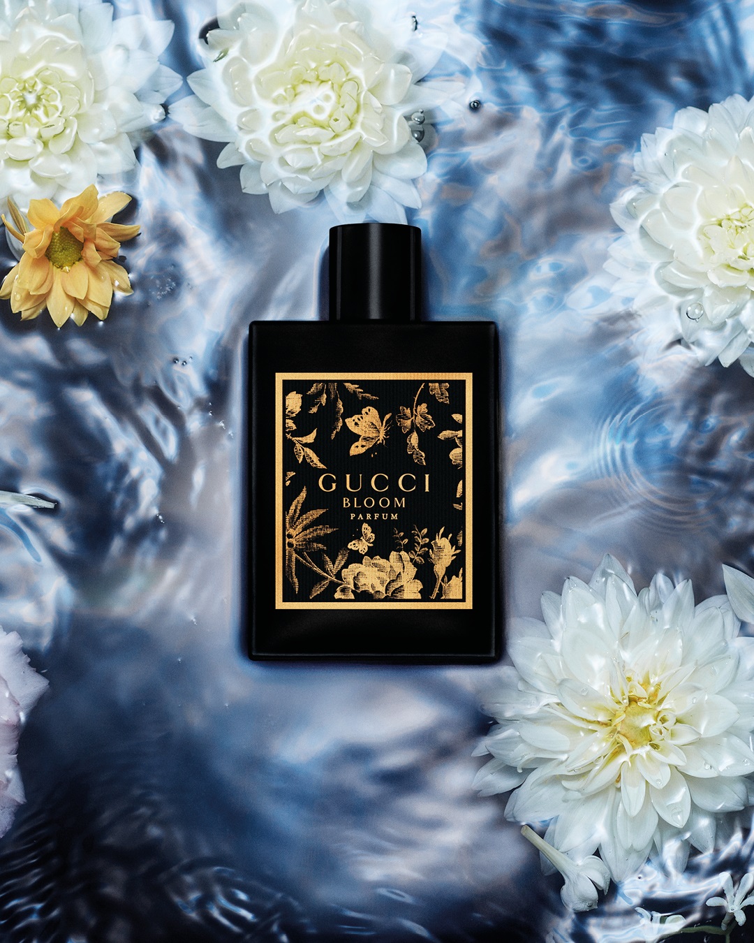 عطر Gucci Bloom الجديد