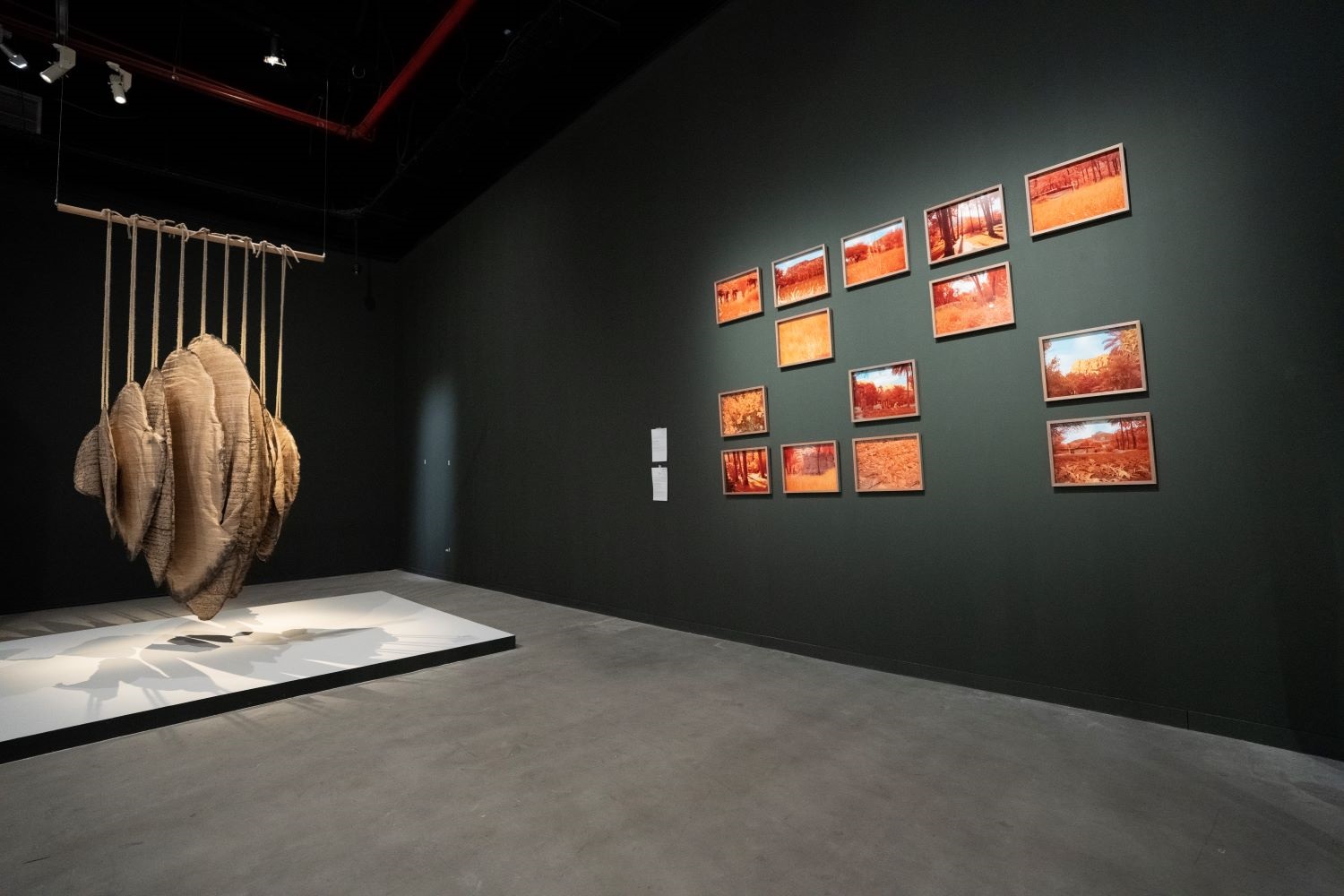 عمل الفنان أيمن زيداني