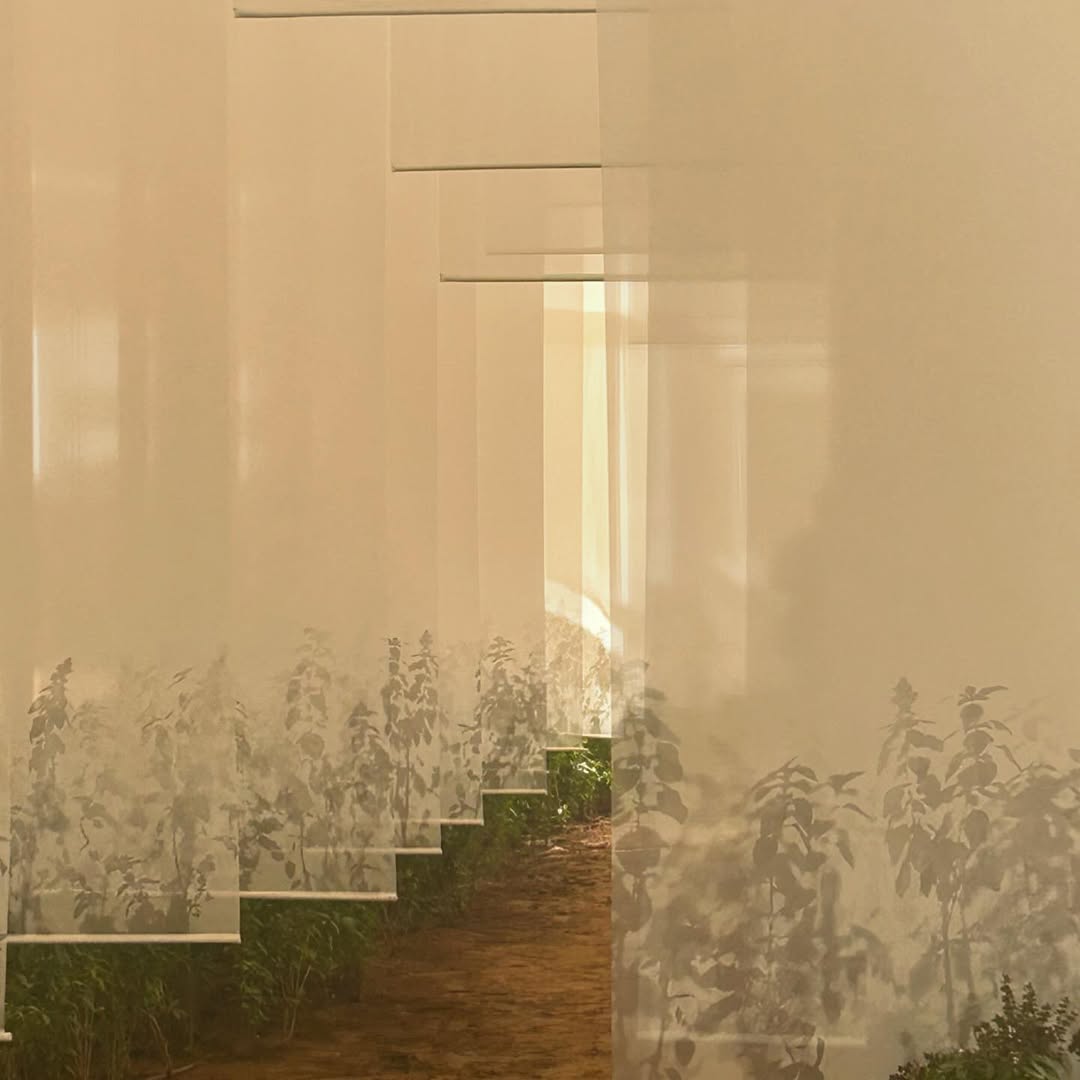 عمل الفنانة فاطمة عبد الهادي جعلك بالجنة