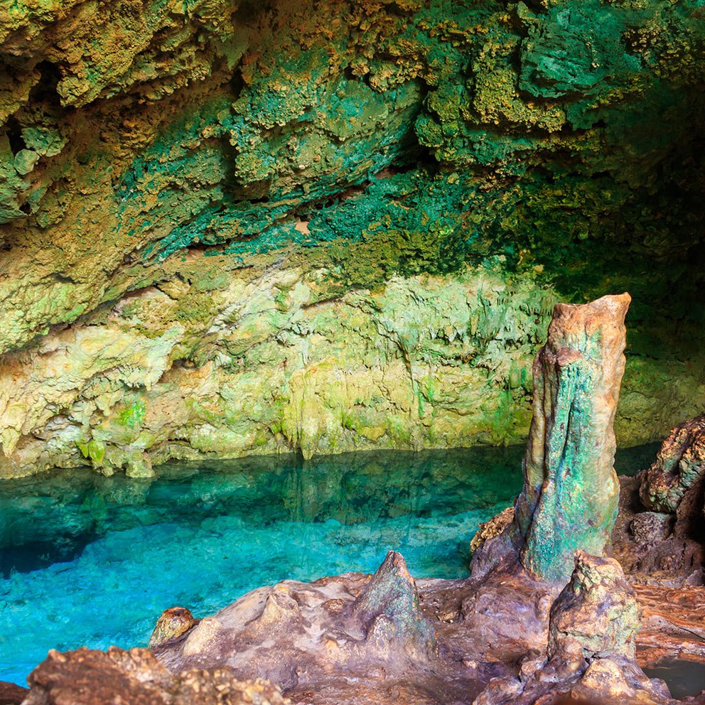 غابة جوزاني Jozani Forest وكهف كوزا Kuza Cave