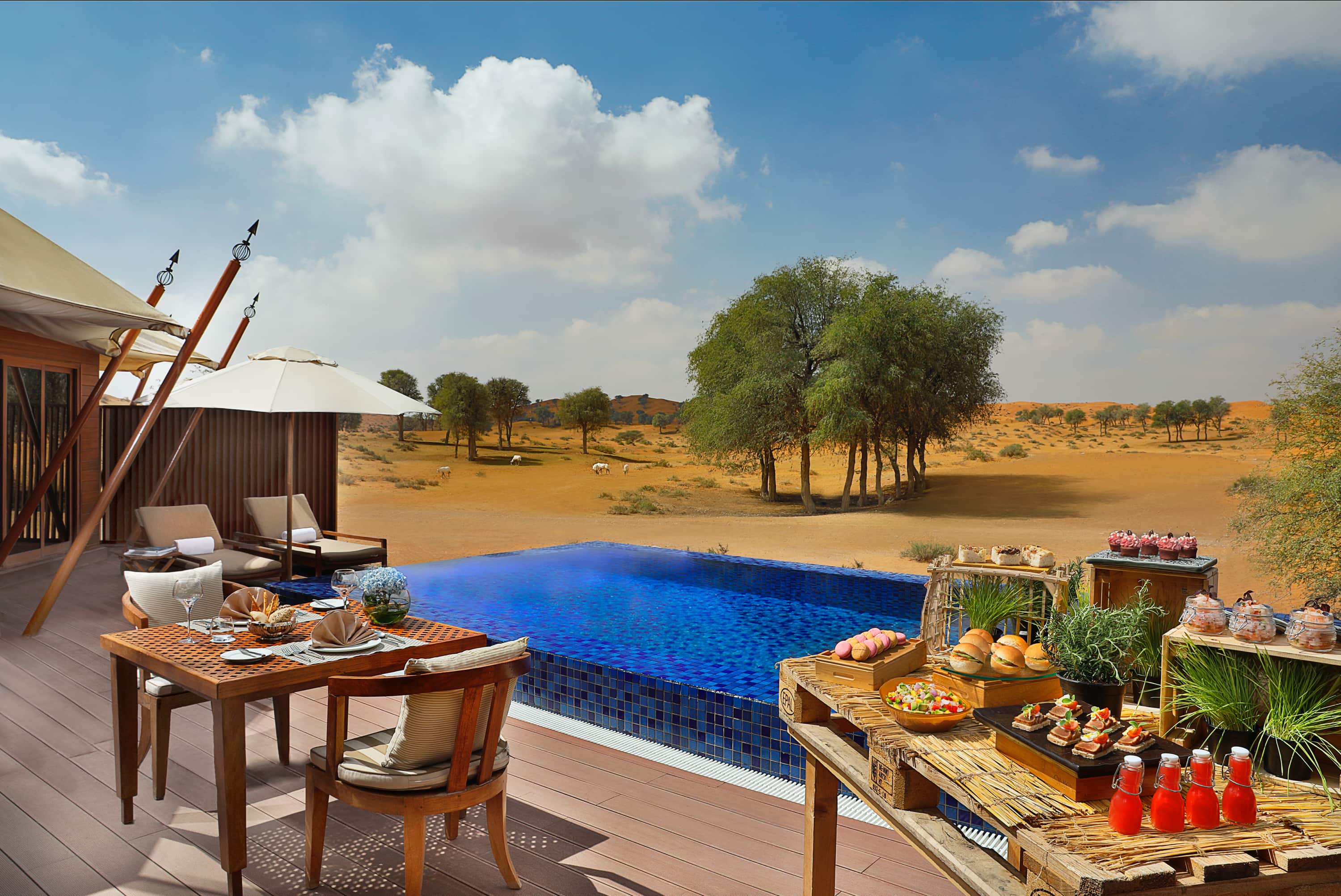 فندق ريتز-كارلتون رأس الخيمة The Ritz-Carlton Ras Al Khaimah- صحراء الوادي - الإمارات العربية المتحدة