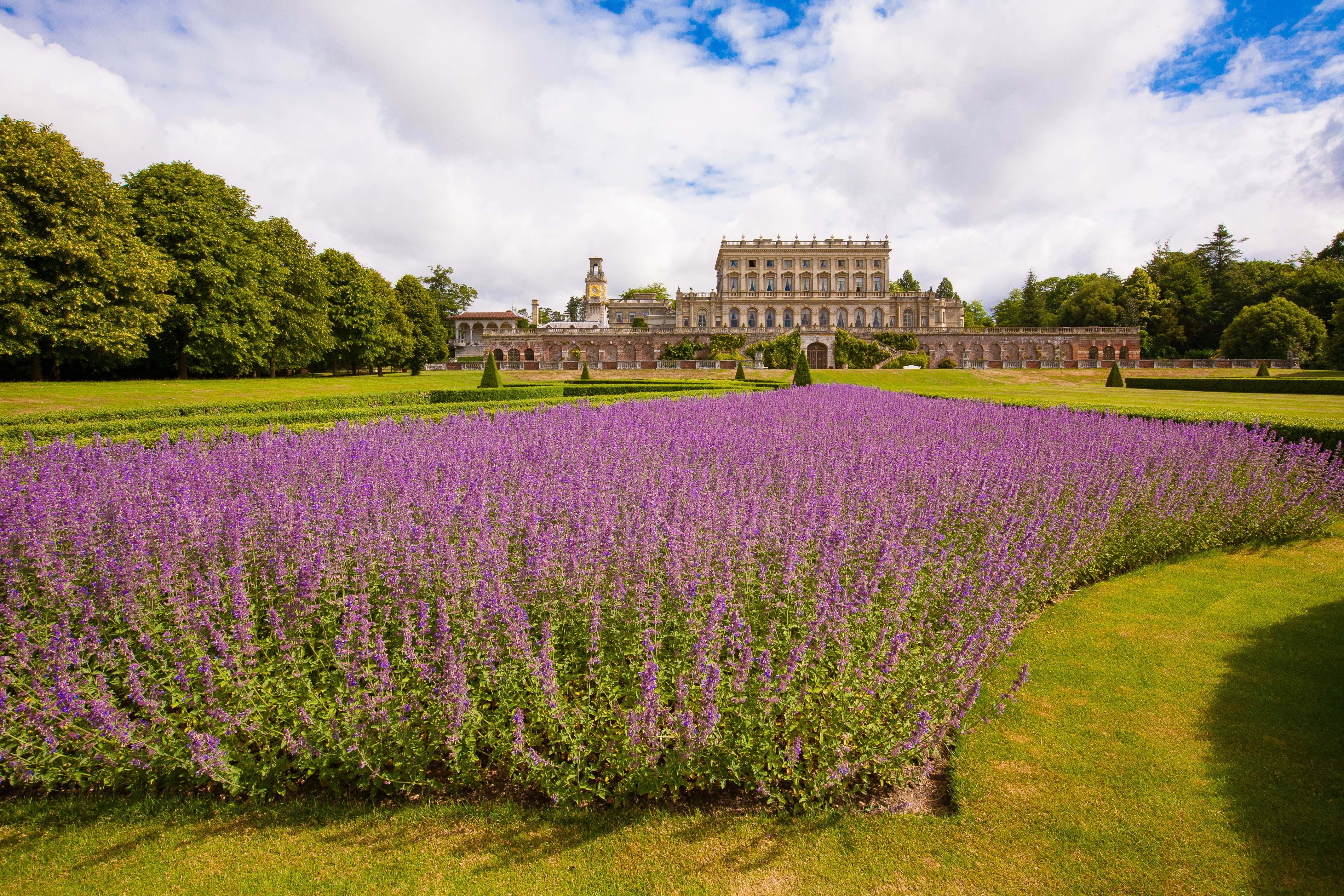 فندق Cliveden House UK