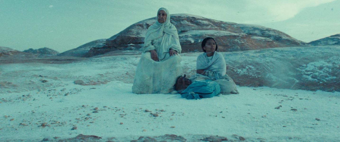 فيلم هجرة للكاتبة والمخرجة شهد أمين - الصورة الرئيسية