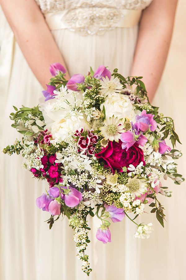 قرنفل الشاعر أو وليام الحلو Sweet William