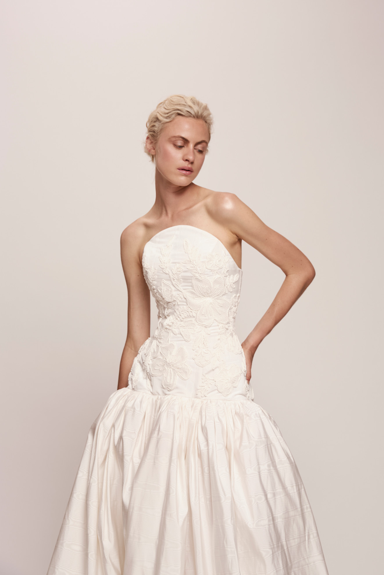 قصة التوليب من دار Jaclyn