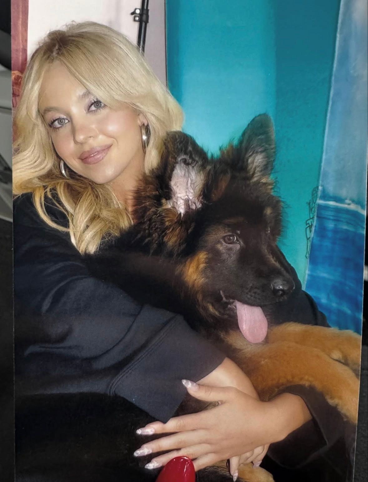 سيدني سويني