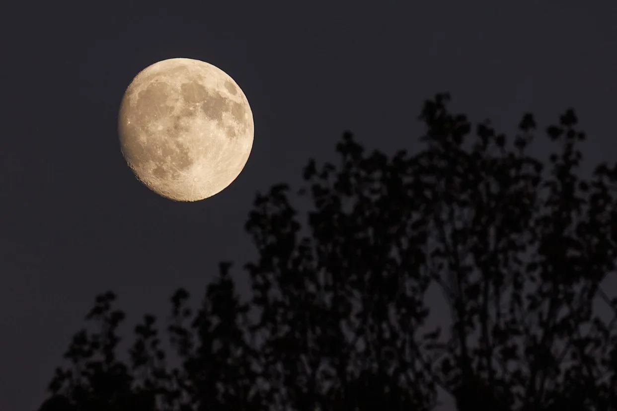 قمر القندس الأكبر والأكثر سطوعاً على الأبراج الفلكية