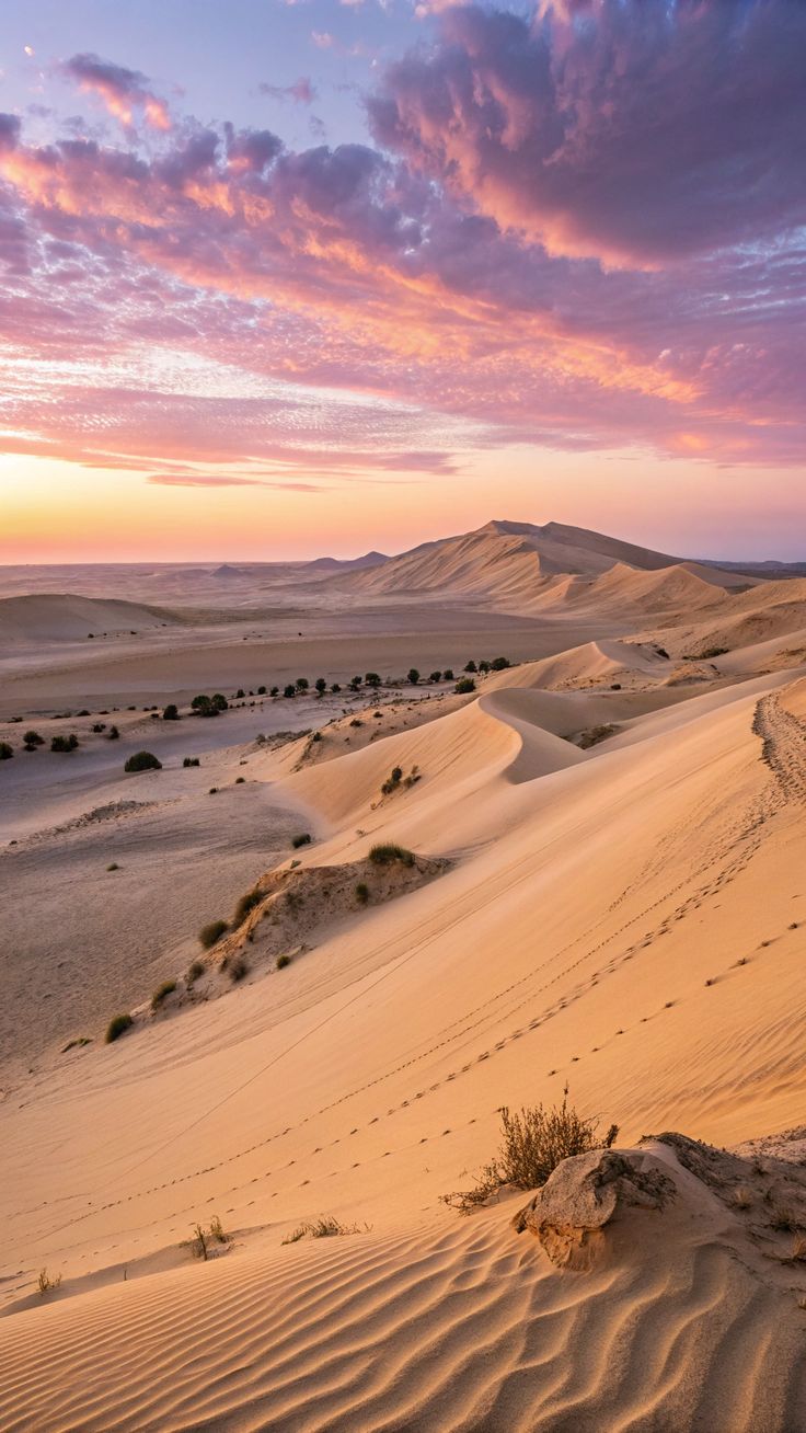 كثبان ساري كوم الرملية