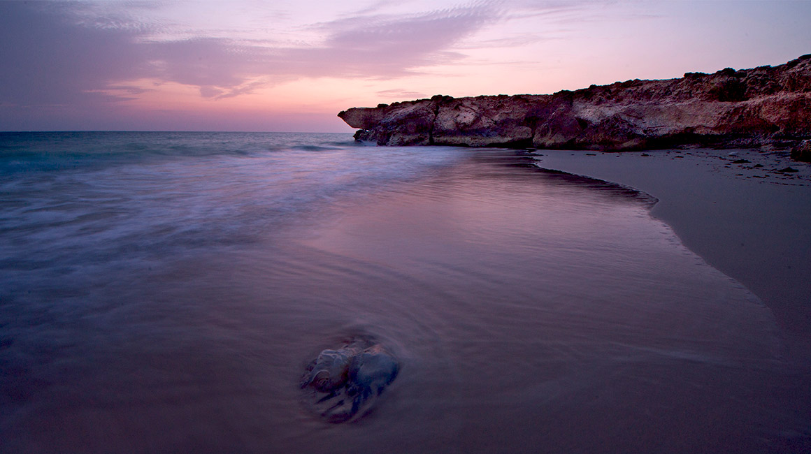 لقطة ساحرة لشروق الشمس في جزر فرسان