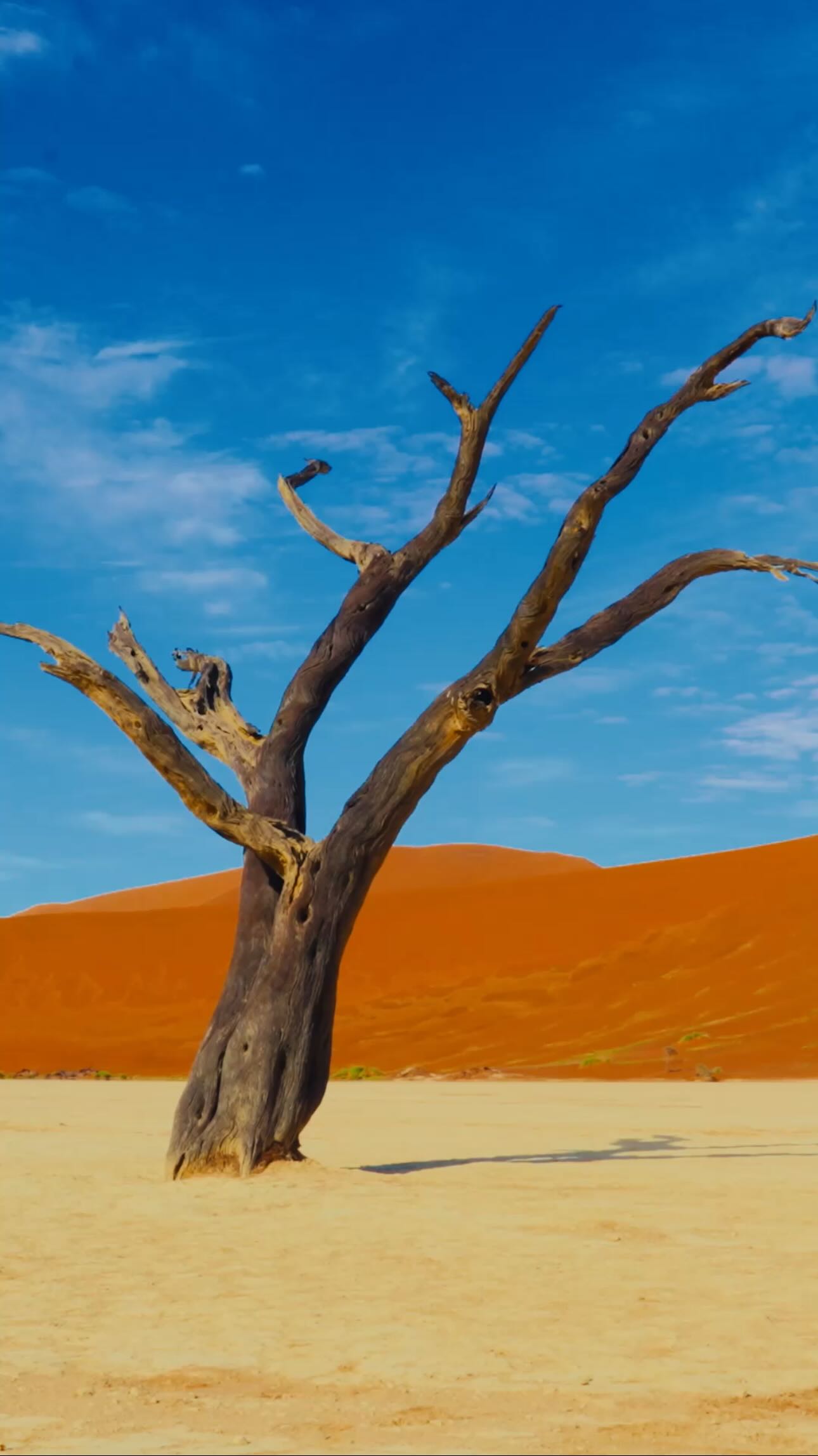 اللون كأرض جديدة للاستكشاف