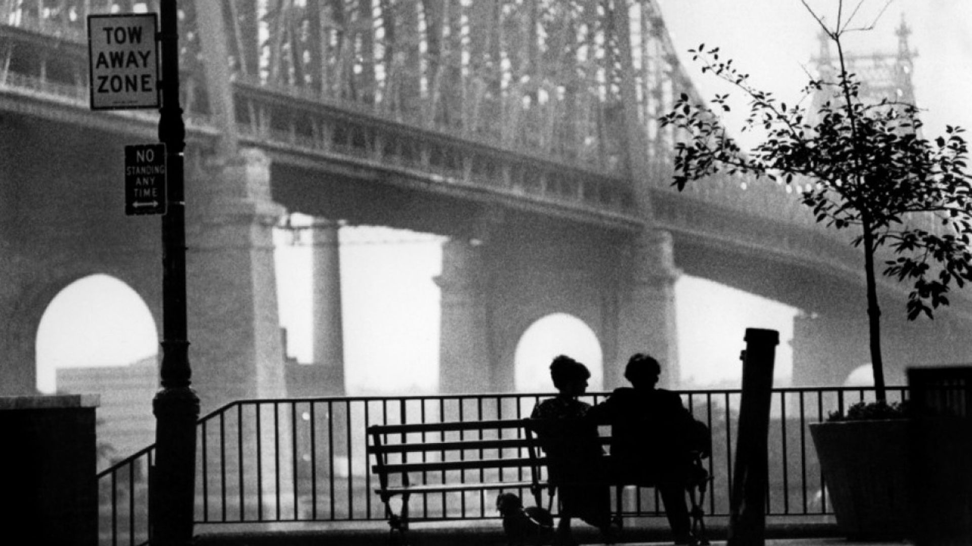 ماري ويلكي في فيلم "Manhattan"