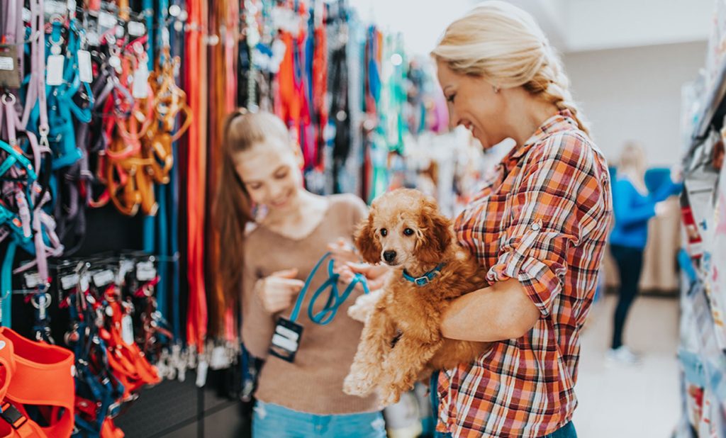 متجر الحيوانات الأليفة