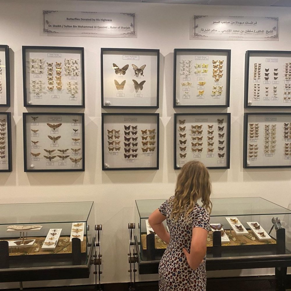 متحف الشارقة للتاريخ الطبيعي Sharjah Natural History Museum