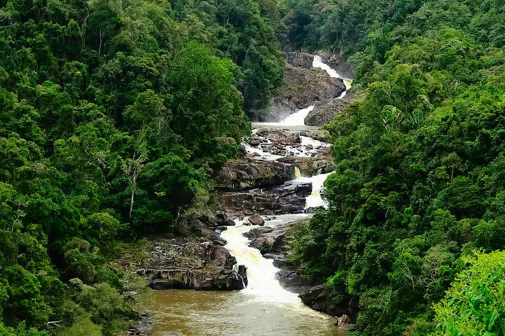 محمية رانومفانا الطبيعية (Ranomafana Nature Reserve)
