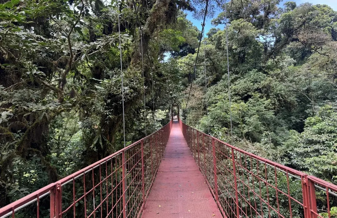 محمية مونتيفيردي البيولوجية لغابة السحاب