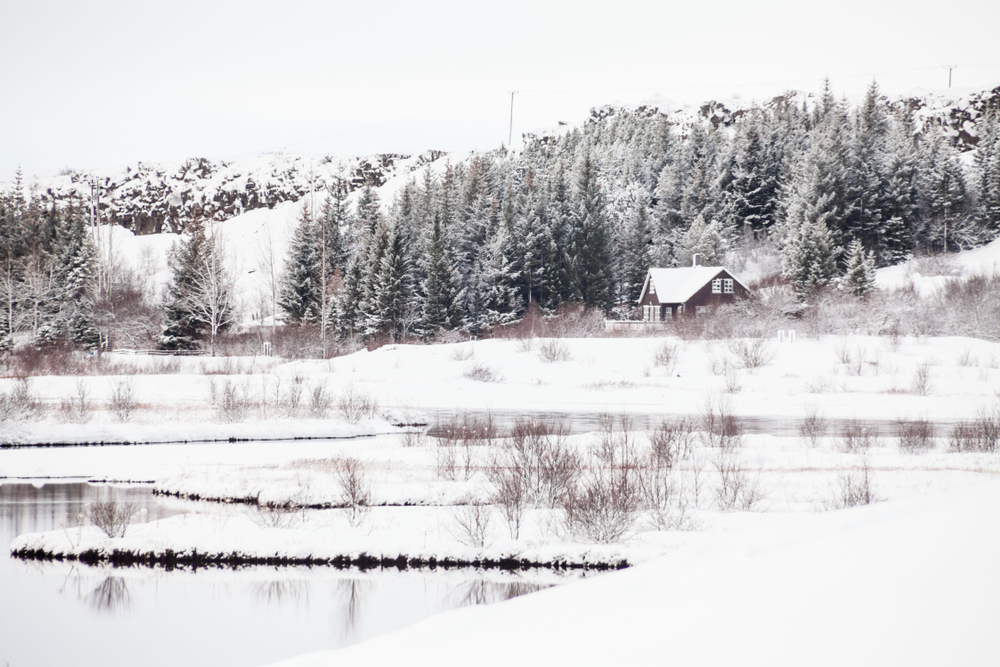 محمية هورنستراندر الطبيعية Hornstrandir Nature Reserve