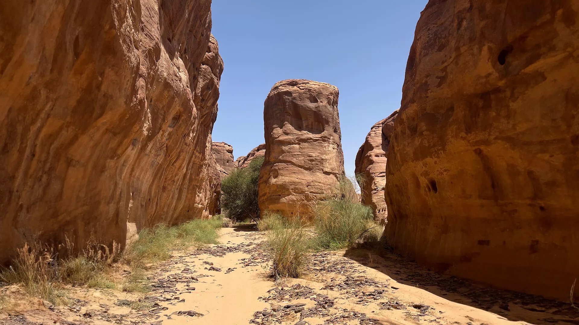 مسار الوادي واحد من أمتع التجارب لعشاق الهايكنج