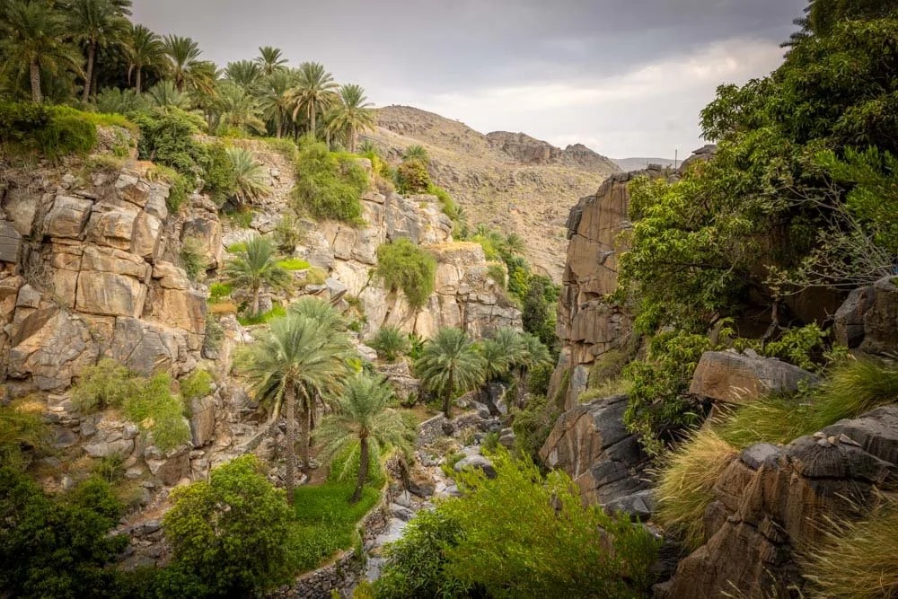 مسفاة العبريين في عُمان