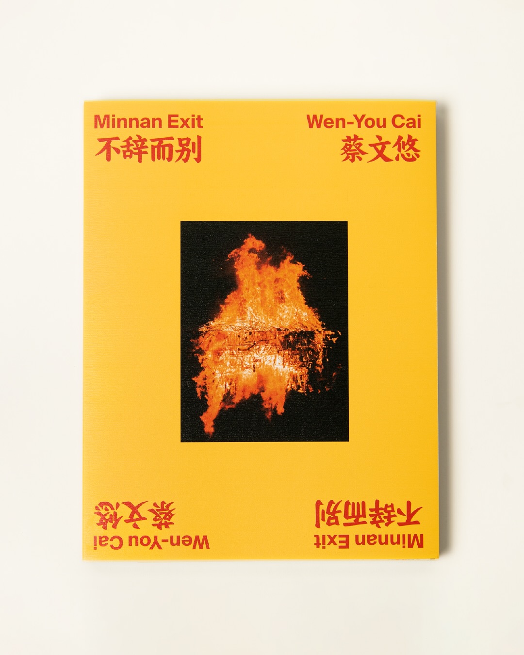 مشاركة المجموعة المتخصصة تي إديشنز في الصين والولايات المتحدة