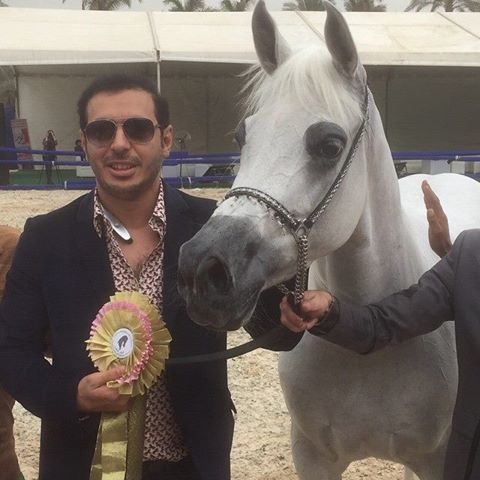 مصطفى شعبان مع الفرس ليله