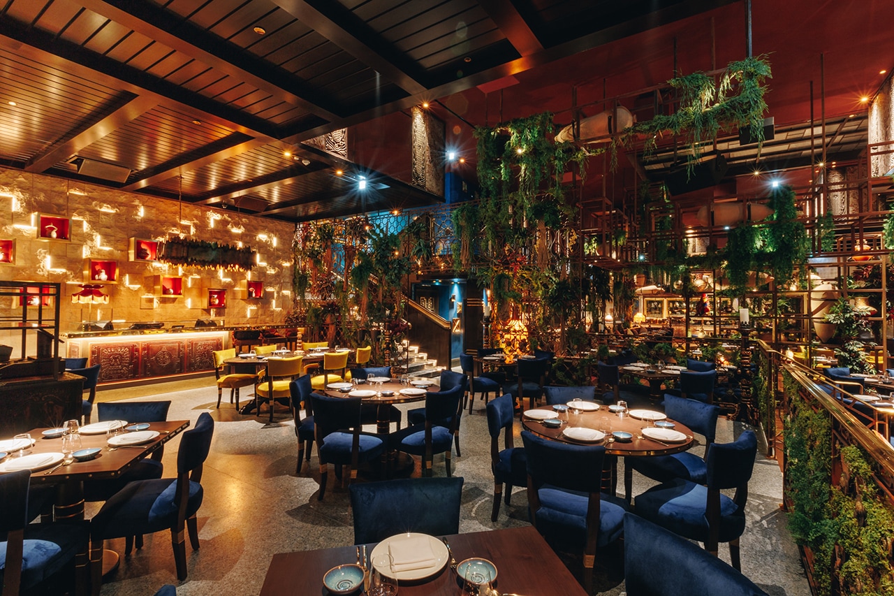 مطعم كويا ومجموعة من أشهى الأطباق