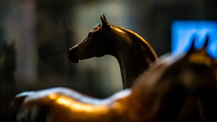 معرض الخيل العربي من المعارض المميزة التي تنسج الماضي بالحاضر في الدرعية