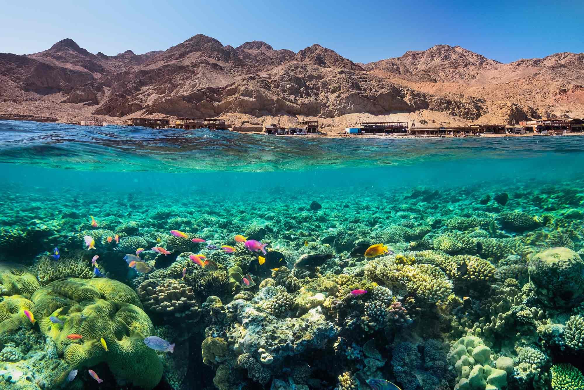 مغامرات البحر الأحمر في مصر