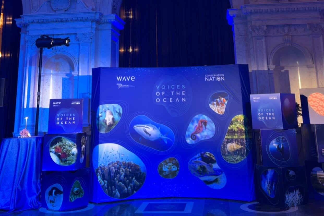 من افتتاح فعالية أصوات المحيط (Voices of the Ocean) في مكتبة الكونغرس بالعاصمة الأمريكية واشنطن