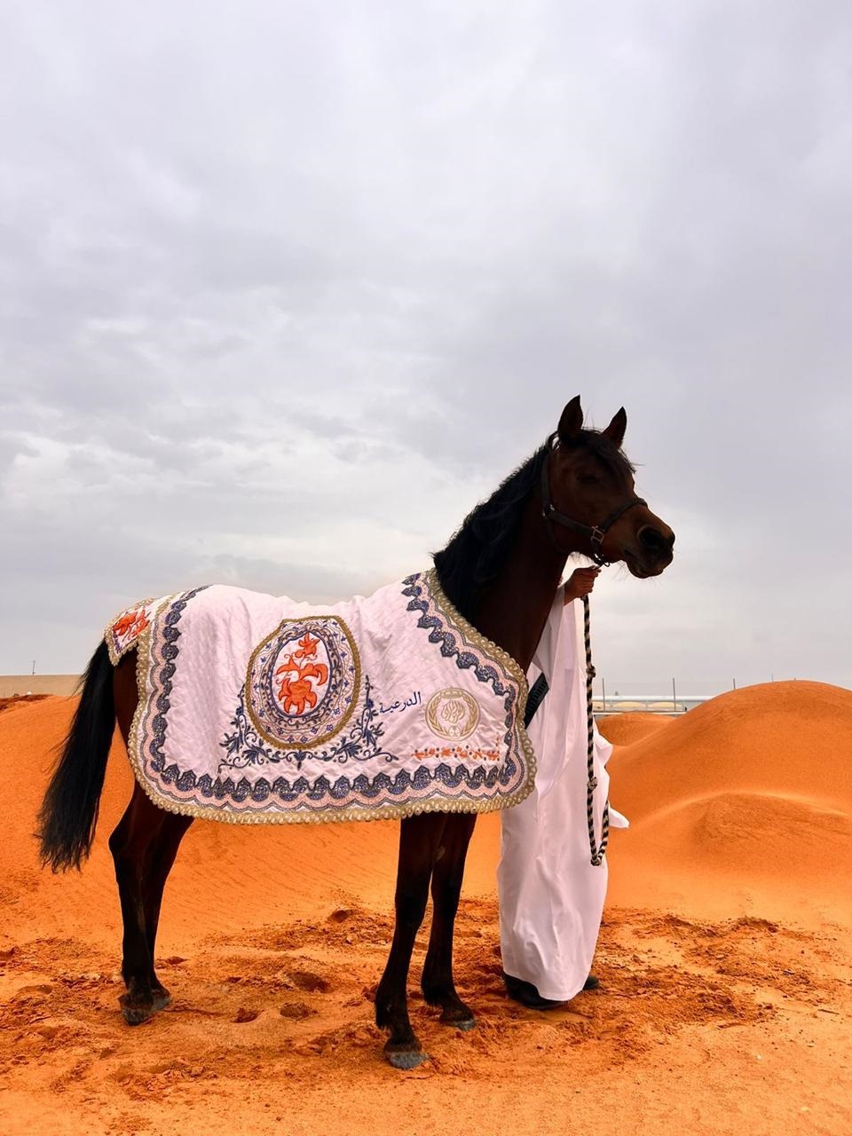 من تصاميم وشاح الخيل من تنفيذ خزامى