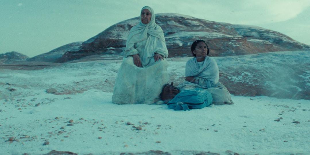 من فينسيا إلى الأوسكار مرور بجدة