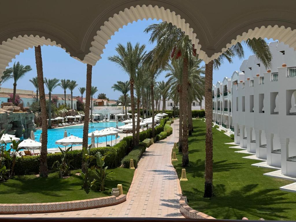 منتجع بارون بالمز Baron Palms Resort