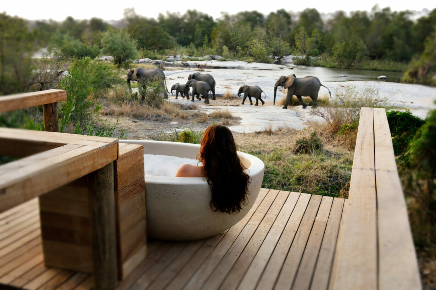 منتجع محمية لوندولوزي الخاصة للحيوانات البرية Londolozi Private Game Reserve