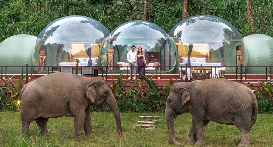 منتجع Anantara Golden Triangle Elephant Camp & Resort