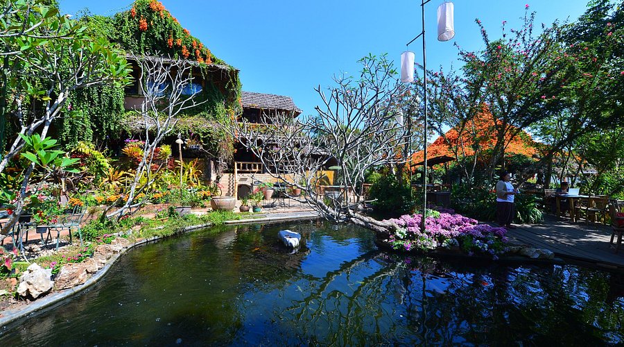 منتجع Phu Chaisai Mountain Resort