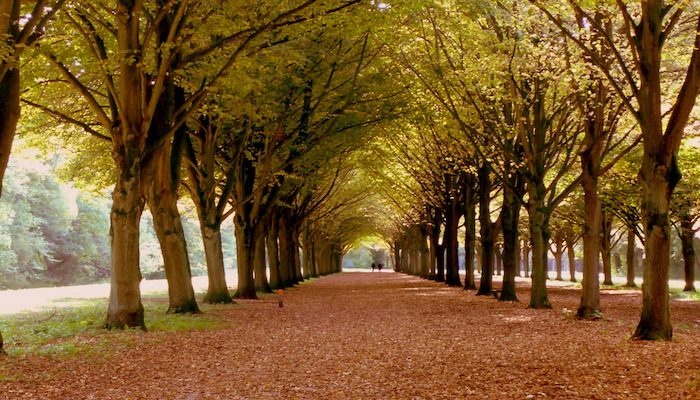 منتزه Amsterdamse Bos