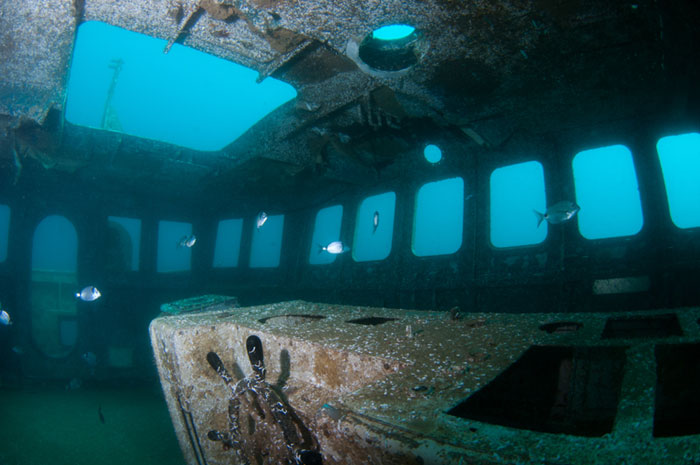 منتزه أوشن ريفايفل المائي