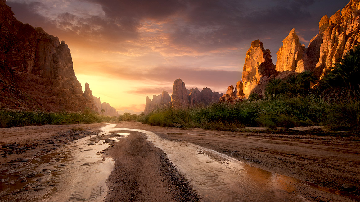 منظر ساحر لشروق الشمس في وادي الديسة