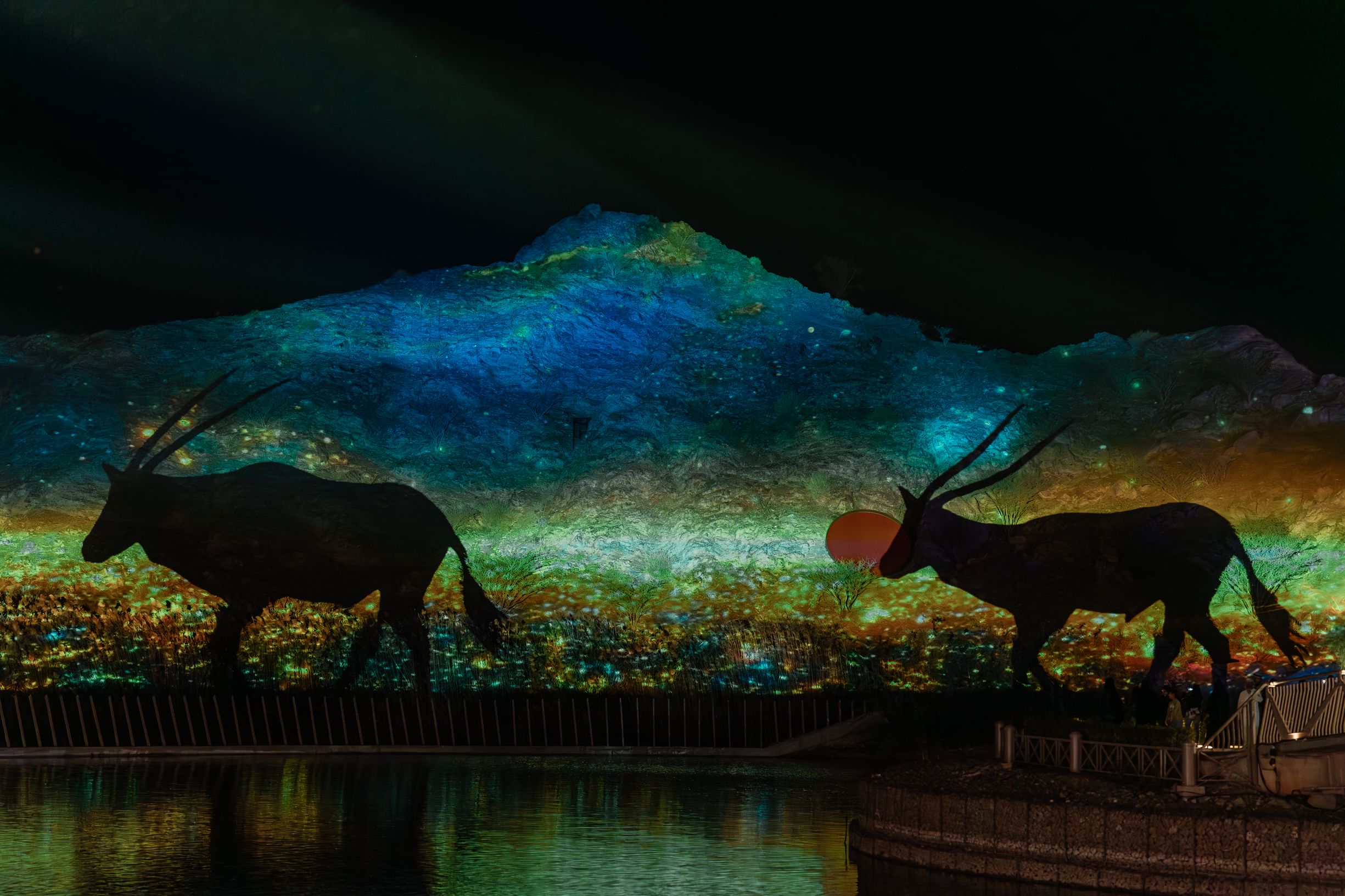 مهرجان شتانا في حتّا وتجارب استثنائية تنتظر الزوار من مختلف الأعمار