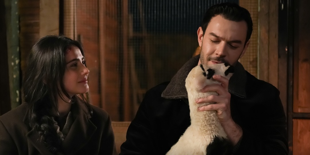 نجاح ملفت لمسلسل "أنت من أحببت"