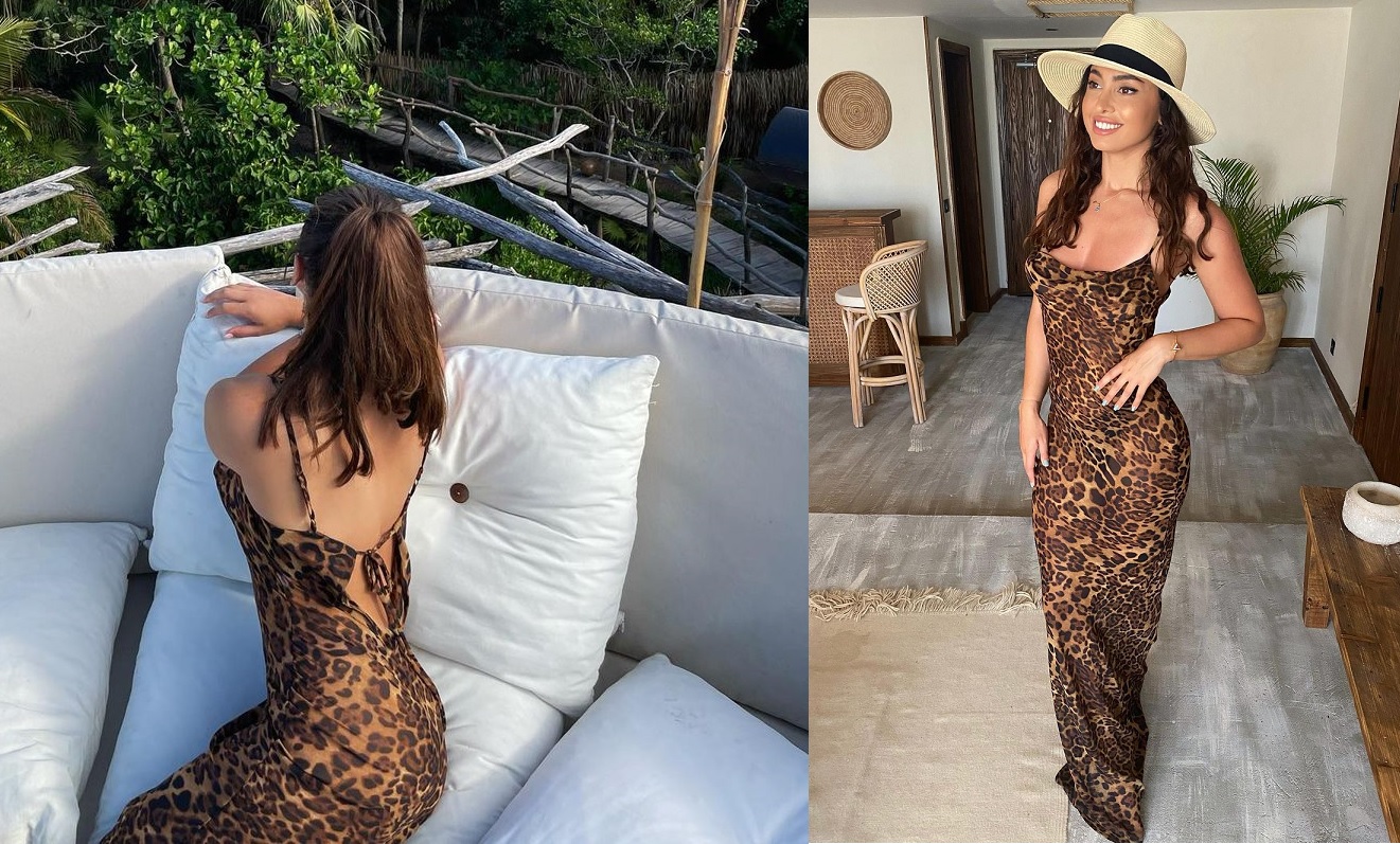 نيكولا سعفان